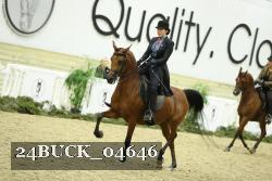 24BUCK_04646 thumbnail