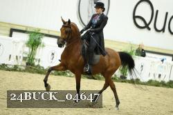 24BUCK_04647 thumbnail