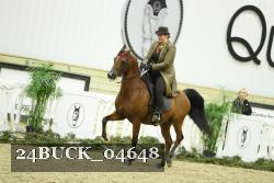 24BUCK_04648 thumbnail
