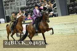 24BUCK_04656 thumbnail