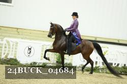 24BUCK_04684 thumbnail