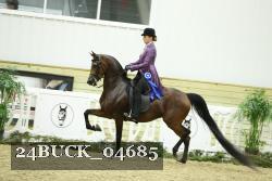 24BUCK_04685 thumbnail