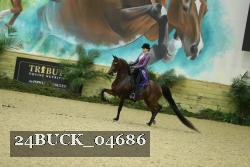 24BUCK_04686 thumbnail