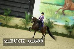 24BUCK_04688 thumbnail