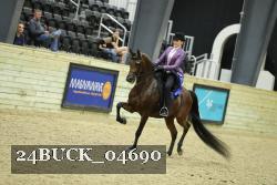 24BUCK_04690 thumbnail
