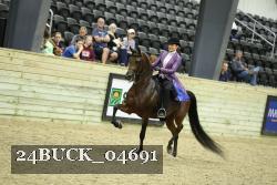 24BUCK_04691 thumbnail