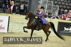 24BUCK_04693 thumbnail