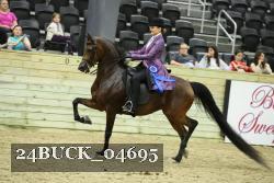 24BUCK_04695 thumbnail
