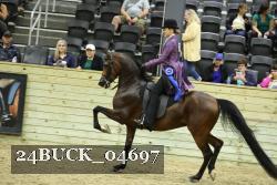 24BUCK_04697 thumbnail