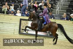 24BUCK_04700 thumbnail