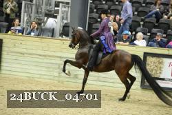 24BUCK_04701 thumbnail
