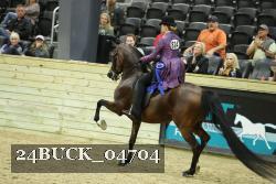 24BUCK_04704 thumbnail
