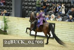 24BUCK_04706 thumbnail