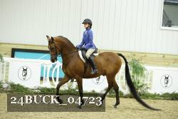 24BUCK_04723 thumbnail