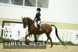 24BUCK_04732 thumbnail