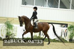 24BUCK_04733 thumbnail