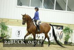 24BUCK_04747 thumbnail