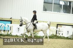 24BUCK_04748 thumbnail