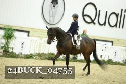 24BUCK_04755 thumbnail