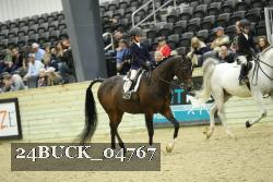 24BUCK_04767 thumbnail