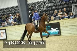24BUCK_04770 thumbnail