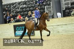 24BUCK_04771 thumbnail