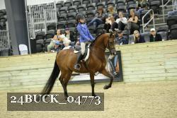 24BUCK_04773 thumbnail