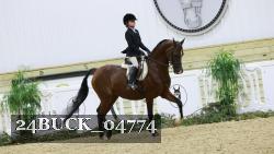 24BUCK_04774 thumbnail