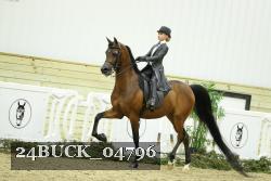 24BUCK_04796 thumbnail