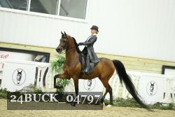 24BUCK_04797 thumbnail