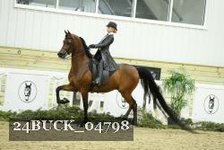 24BUCK_04798 thumbnail