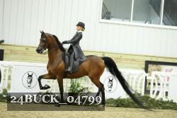 24BUCK_04799 thumbnail
