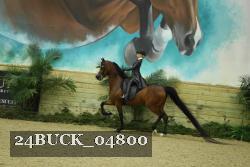 24BUCK_04800 thumbnail