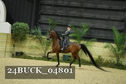 24BUCK_04801 thumbnail