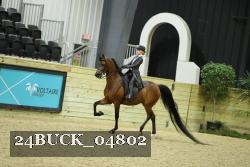 24BUCK_04802 thumbnail