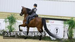 24BUCK_04808 thumbnail