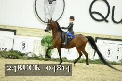 24BUCK_04814 thumbnail