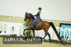 24BUCK_04816 thumbnail