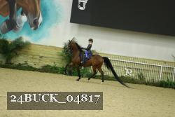 24BUCK_04817 thumbnail