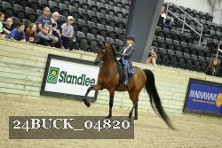 24BUCK_04820 thumbnail