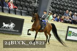 24BUCK_04821 thumbnail