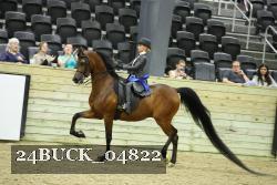24BUCK_04822 thumbnail