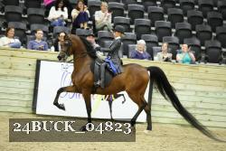 24BUCK_04823 thumbnail