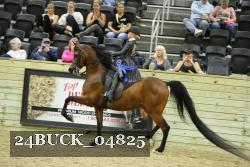 24BUCK_04825 thumbnail