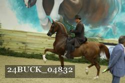 24BUCK_04832 thumbnail