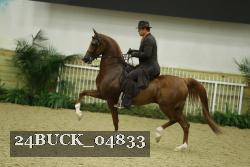 24BUCK_04833 thumbnail