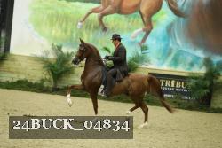 24BUCK_04834 thumbnail