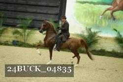 24BUCK_04835 thumbnail