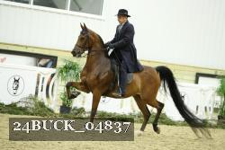 24BUCK_04837 thumbnail