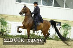 24BUCK_04838 thumbnail